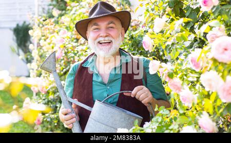 Retired gardener senior portrait, spring banner. Middle aged man portrait holding watering can on roses garden. Gardening hobby. Spring gardening Stock Photo