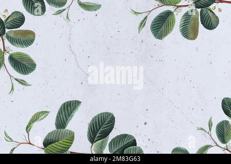 Green leaf frame vector floral background Stock Vector