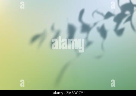 Abstract green gradient background vector with leaf shadow Stock Vector