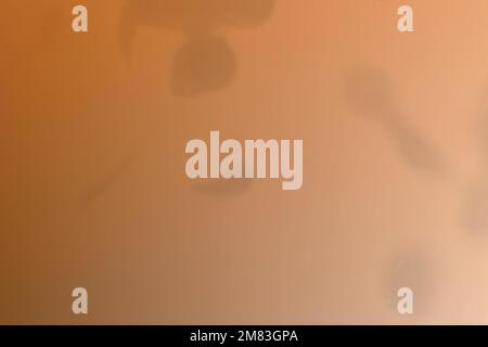 Abstract brown gradient background vector with leaf shadow Stock Vector