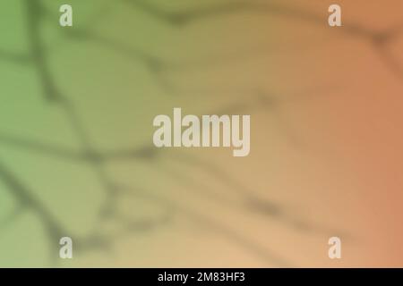 Abstract green gradient background vector with branch shadow Stock Vector