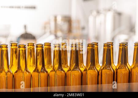 Rows of glass bottles prepared to beer filling and bottling on microbrewery. Stock Photo