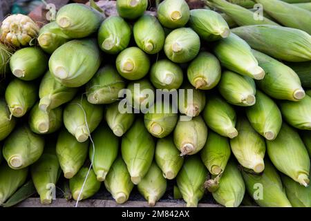 Fresh corn cob and green leaves background texture Stock Photo