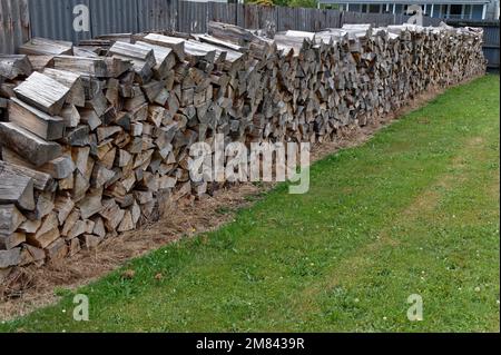 Winter fuel is piled along a fence neatly, drying out ready for the winter. Stock Photo