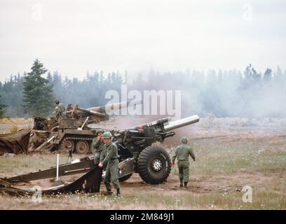 US Army artillery crews conduct a firing exercise with an M114 155 mm howitzer, bottom, and an M110 203 mm self-propelled howitzer. Country: Unknown Stock Photo