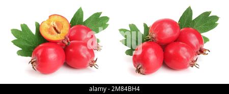 Hawthorn berry with leaf isolated on white background close-up Stock Photo