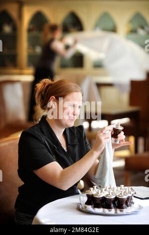 A Housekeeper in a hotel. Stock Photo