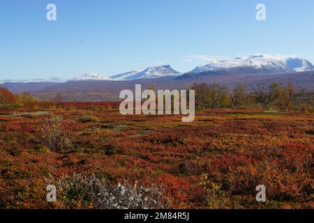 Low vegitation in red and mountain peeks covered with snow Stock Photo