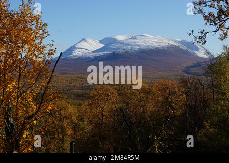 Mountain side with autumn colored birch and peaks covered with snow Stock Photo