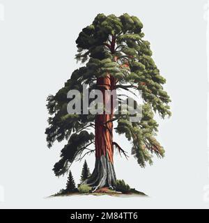 Realistic green tallest tree in the world sequoia on a white background - Vector illustration Stock Vector