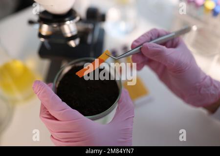 Laboratory analysis of soil and test strip PH Stock Photo