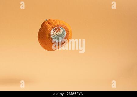 World Food Day. Eco Vector & Photo (Free Trial) | Bigstock
