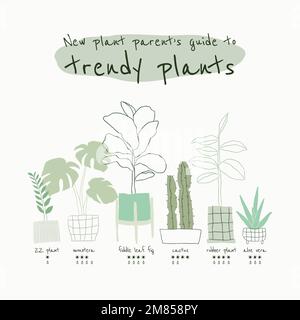 Trendy houseplant guide template vector for social media Stock Vector