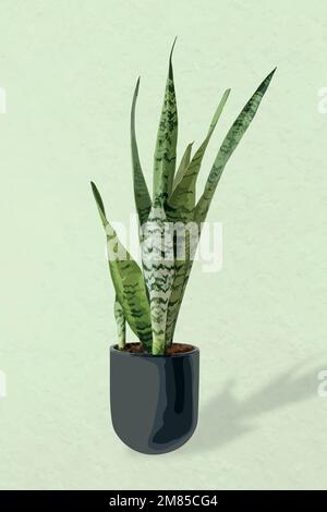Plant vector image, snake plant potted home interior decoration Stock Vector