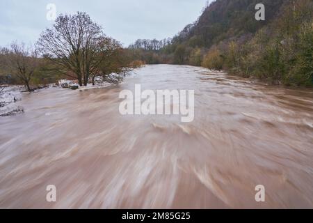 The River Taff in South Wales flowing fast after heavy rain in January 2023. Stock Photo