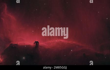 The Horsehead Nebula, Barnard 33 in the Orion constellation Stock Photo ...