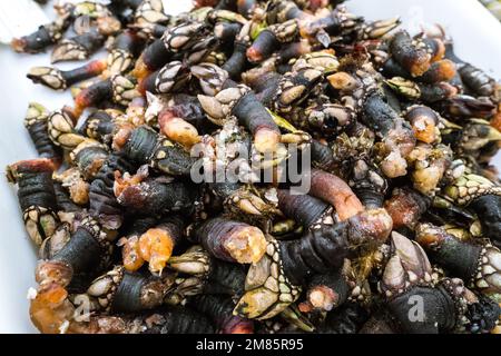 Percebes for sale in seafood market in a small town Cangas, Galicia, Spain Stock Photo