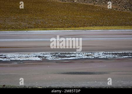 The Espejo lagoon, Puna Argentina Stock Photo - Alamy