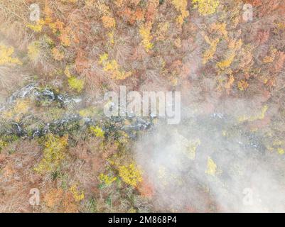 An overhead vantage point offering a panoramic view of a wild, autumnal forest, adorned with a vibrant array of tree leaves in various hues. Stock Photo