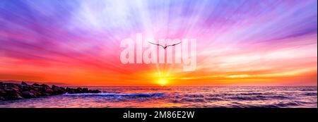 A Single Bird Silhouette Flying Towards The Colorful Cloudscape Sunset In Banner Image Format Stock Photo