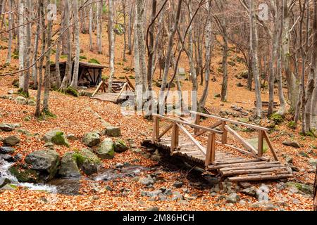 Empty picnic area in Vitosha Mountain near Sofia, Bulgaria Stock Photo