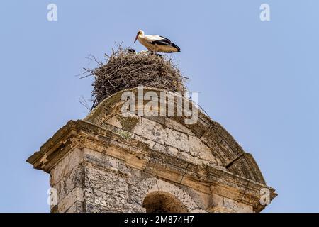 Storks on the Church of Santa Maria in Maderuelo in the Segovia province Castile Leon Spain Stock Photo