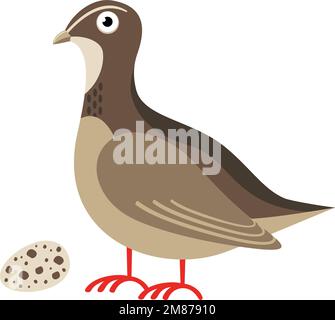 Quail cartoon icon. Gray bird with spotty egg Stock Vector