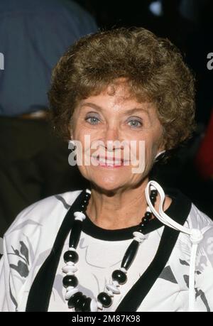 Estelle Getty Circa 1980's Credit: Ralph Dominguez/MediaPunch Stock