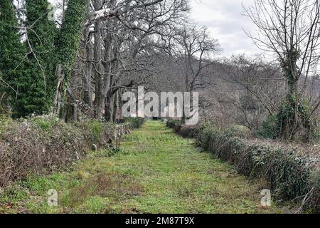 Sculpture park Dubrova in Istria, Croatia Stock Photo - Alamy