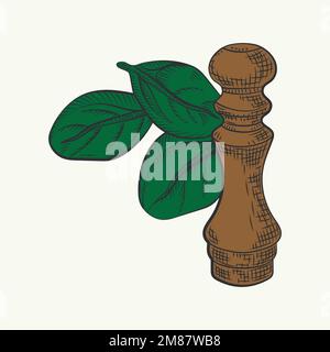 Hand drawn vector illustration - salt pot vector. Blossom plant with leaves Stock Vector