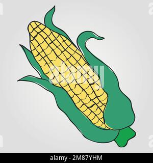 Hand drawn vector illustration - sea  Corn on the cob leaf with leaf vector. Blossom plant with leaves Stock Vector