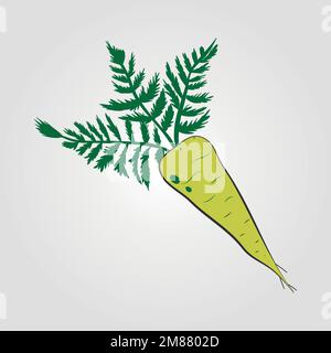 Hand drawn vector illustration - sea radish with leaf vector. Blossom plant with leaves Stock Vector