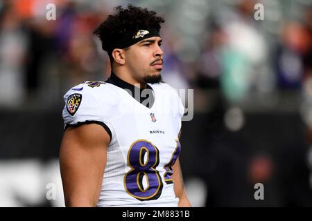 Baltimore Ravens tight end Josh Oliver (84) runs for the play during an NFL  wild-card football game against the Cincinnati Bengals on Sunday, Jan. 15,  2023, in Cincinnati. (AP Photo/Emilee Chinn Stock