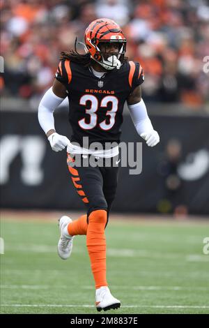 Cincinnati Bengals cornerback Tre Flowers (33) reacts during an NFL  wild-card playoff football game against the Las Vegas Raiders, Saturday,  Jan. 15, 2022, in Cincinnati. (AP Photo/Emilee Chinn Stock Photo - Alamy