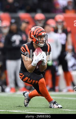 Cincinnati Bengals wide receiver Trent Taylor (11) receives a kick during  an NFL football game against the Pittsburgh Steelers, Sunday, Sep. 11,  2022, in Cincinnati. (AP Photo/Kirk Irwin Stock Photo - Alamy