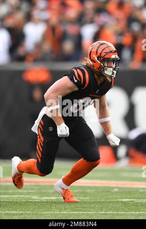 Photo: Bengals Hayden Hurst catchs over Panthers Myles Hartsfield -  KYP20221106010 