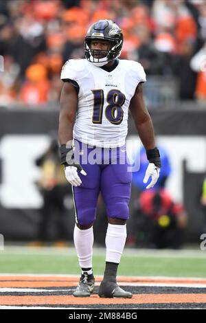 Baltimore Ravens linebacker Roquan Smith (18) runs out of the tunnel during  player introductions before an NFL football game against the Denver  Broncos, Sunday, Dec. 4, 2022, in Baltimore. (AP Photo/Terrance Williams