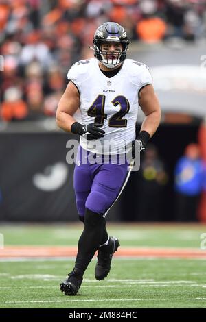 Baltimore Ravens fullback Patrick Ricard (42) prior to an NFL football game  against the Denver Broncos, Sunday, Oct. 3, 2021, in Denver. (AP  Photo/David Zalubowski Stock Photo - Alamy