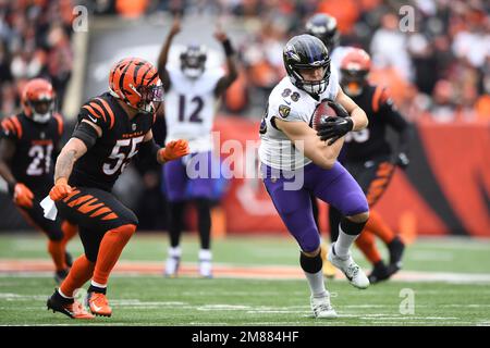 Tampa Bay, Florida, USA, August 26, 2023, Baltimore Ravens Tight End  Charlie Kolar #88 at Raymond James Stadium. (Photo Credit: Marty  Jean-Louis/Alamy Live News Stock Photo - Alamy