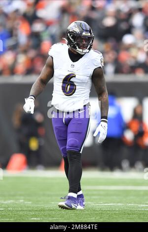 Baltimore Ravens linebacker Patrick Queen (6) walks back to the line of  scrimmage during a NFL football game against the Tampa Bay  Buccaneers,Thursday, Oct. 27, 2022 in Tampa, Fla. (AP Photo/Alex Menendez