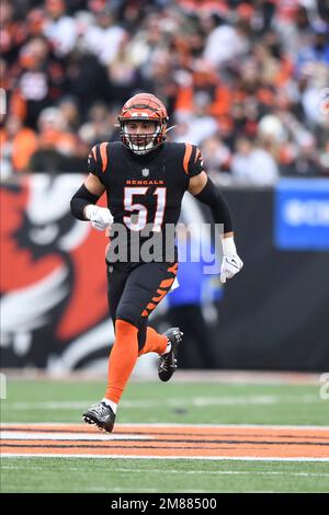 Cincinnati Bengals linebacker Markus Bailey (51) runs for the play during  an NFL football game against the Carolina Panthers, Sunday, Nov. 6, 2022,  in Cincinnati. (AP Photo/Emilee Chinn Stock Photo - Alamy