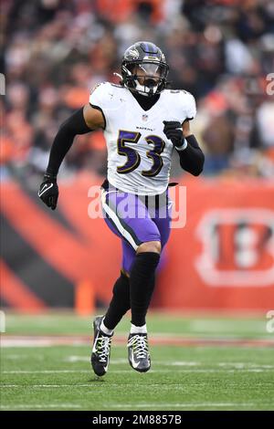 Tampa Bay, Florida, USA, August 26, 2023, Baltimore Ravens face Tampa Bay  Buccaneers at Raymond James Stadium. (Photo by Marty Jean-Louis/Sipa USA)  Credit: Sipa US/Alamy Live News Stock Photo - Alamy