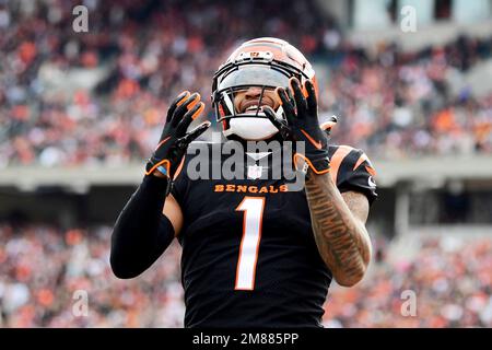 Cincinnati Bengals wide receiver Ja'Marr Chase (1) signals for a first down  during an NFL divisional round playoff football game Sunday, Jan. 22, 2023,  in Orchard Park, NY. (AP Photo/Matt Durisko Stock