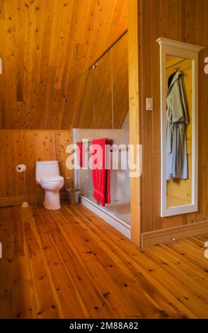 Master bedroom ensuite with glass shower stall and white porcelain toilet on upstairs floor inside handcrafted Scandinavian spruce log home. Stock Photo