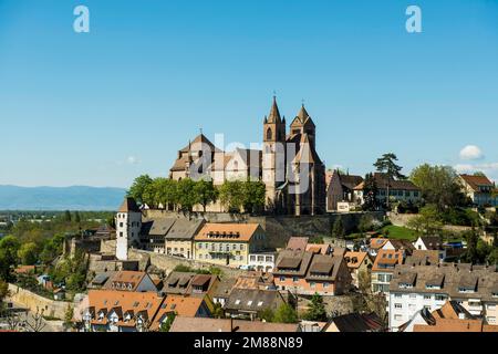 View from the Eckhartsberg on the old town with the Romanesque St. Stephen's Minster and the Rhine, Breisach, Breisgau, Upper Rhine, Black Forest Stock Photo