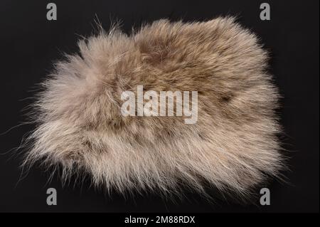 Real grey wolf fur, from above. Wolf pelt with silky, fluffy and bushy fur fibers, primarily used for scarfs. Thick growth of hair. Stock Photo