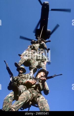Spie Rig Rope Special Patrol Insertion and Extraction rig is a rope system used by ...