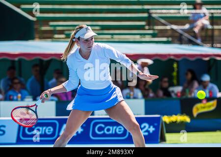 Donna Vekic seen in action during the Kooyong Classic Tennis Tournament women's singles match of day 1 against Linda Fruhvirtova. Melbourne's summer of tennis has kicked off, with the Care A2  Kooyong Classic serving up an ace opening day of play at the Kooyong Lawn Tennis Club. Donna Vekic launched the women's singles with a 6-4, 6-3 defeat of Linda Fruhvirtova. Vekic, the Croatian world no. 60 overcame the rising Czech star in her debut on Kooyongís historic centre court.Despite an early opportunity to break the Vekic serve, Fruhvirtova was unable to capitalise, with experience helping the C Stock Photo