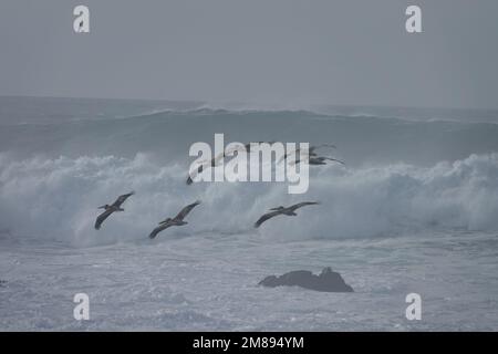 Pebble Beach, California, USA. 12th Jan, 2023. Storm waves continue to crash on the rocks near the famous Cyprus Point that's interestingGolf Club . Years Credit: Motofoto/Alamy Live News Stock Photo