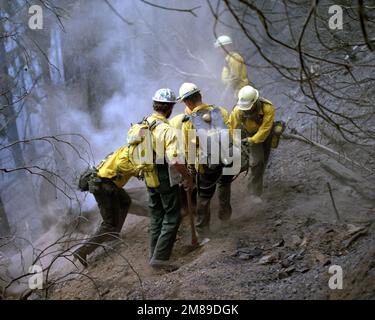 Members of Co. B, 2nd Bn., 27th Inf., 7th Inf. Div. (Light), battle a fire in the mountains near Cave Junction. State: Oregon (OR) Country: United States Of America (USA) Stock Photo